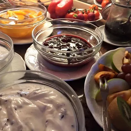 Pensión Kurvilla Fürstin Pauline 3*