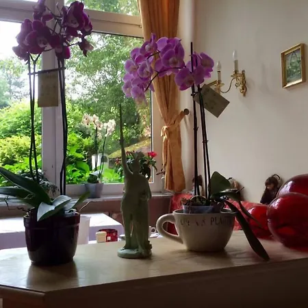 Pensión Kurvilla Fürstin Pauline