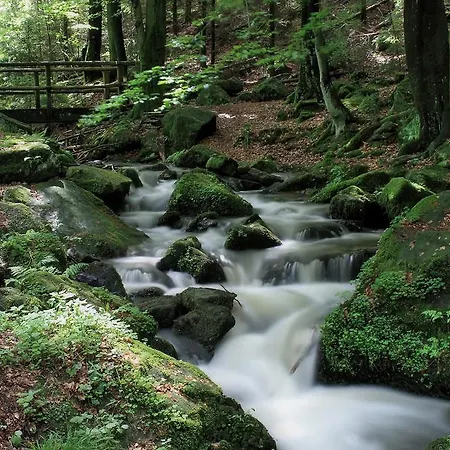 Pensión Kurvilla Fürstin Pauline 3*