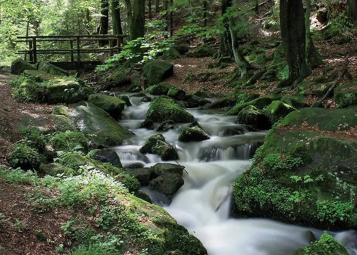 Konukevi Kurvilla Fürstin Pauline 3*